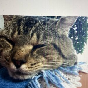 Meet your Posher, Sophia